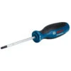 BOSCH Tournevis TX25x100 1600A01V0D 2 BOSCH Tournevis TX25x100 1600A01V0D -NMSLOUTIL shop BOSCH 1600A01V0D 800x800 1