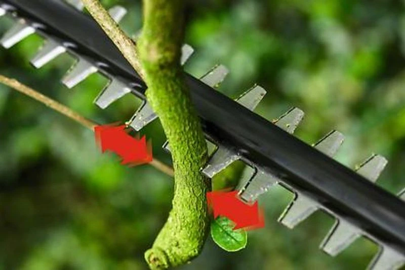 BOSCH UniversalHedgePole 18 Taille-haies Télescopique Sans-fil 06008B3001 5 BOSCH UniversalHedgePole 18 Taille-haies Télescopique Sans-fil 06008B3001 – Image 3