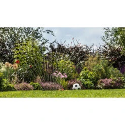 BOSCH GardenPump 18V-2000 Pompes A Eau De Pluie Sans-fil 06008C4202 17 BOSCH GardenPump 18V-2000 Pompes A Eau De Pluie Sans-fil 06008C4202 -NMSLOUTIL shop bosch 06008C4202 2 800x800 1